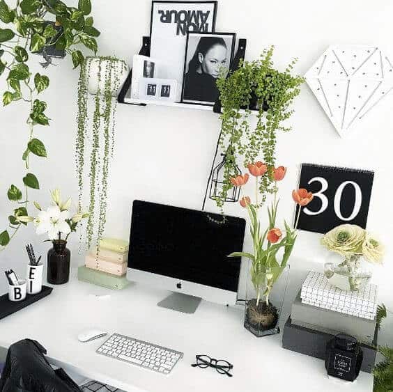 Either you want a small office cubicle plant or a big plant for your office, there must be enough office plants for you to pick from in our gallery. For other ideas go to betterthathome.com