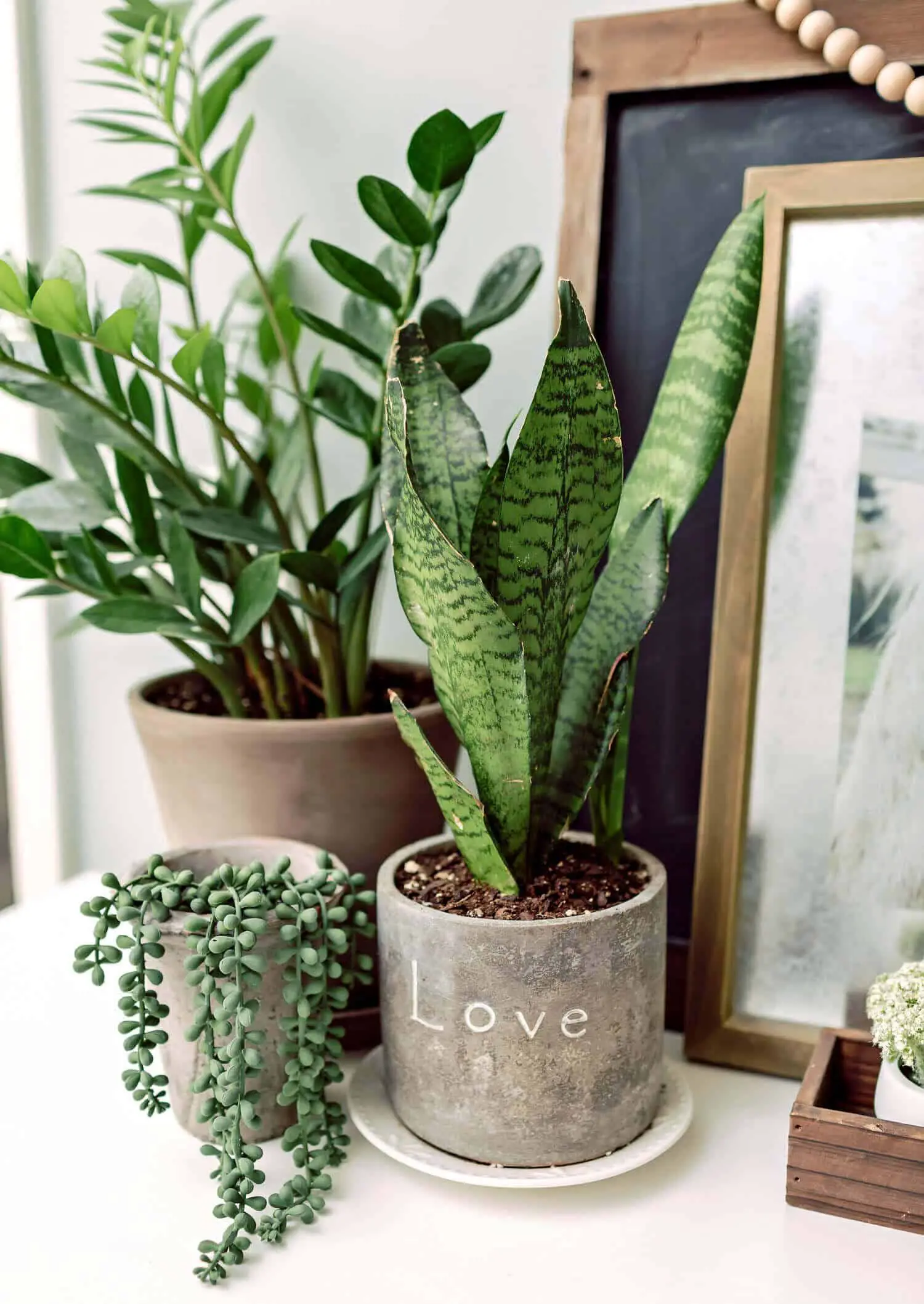 Cacti and succulents are low maintenance, for instance, whereas there are indoor plants that require much more attention and care, so do pay attention to those details when planning and buying your interior design plants inside house ideas.