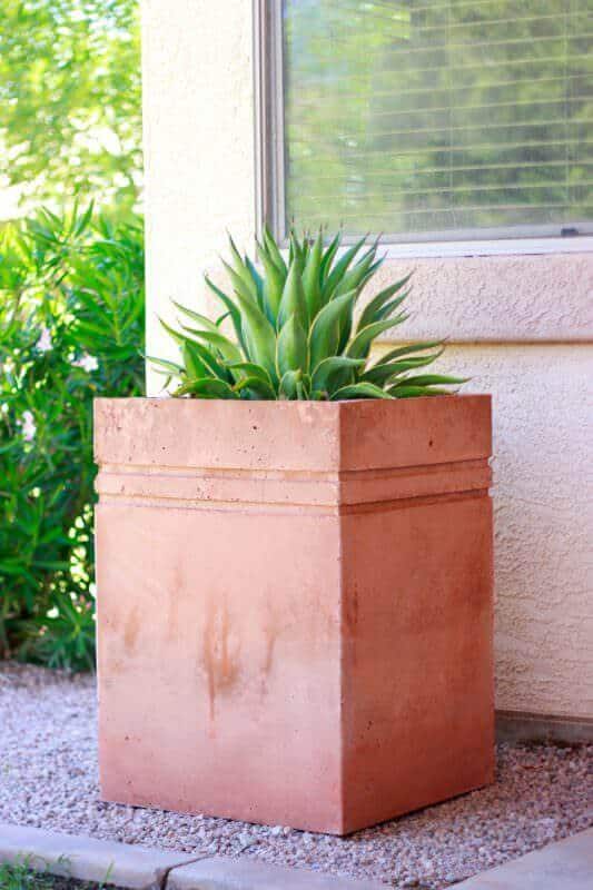 20 garden pots and containers