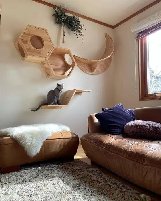 Photo of floating cat shelves on the wall.