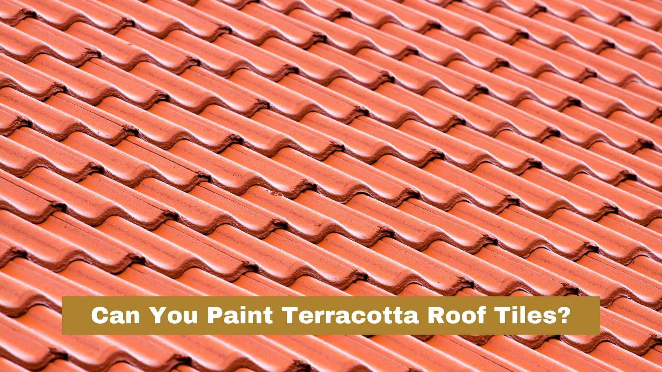 Can You Paint Terracotta Roof Tiles