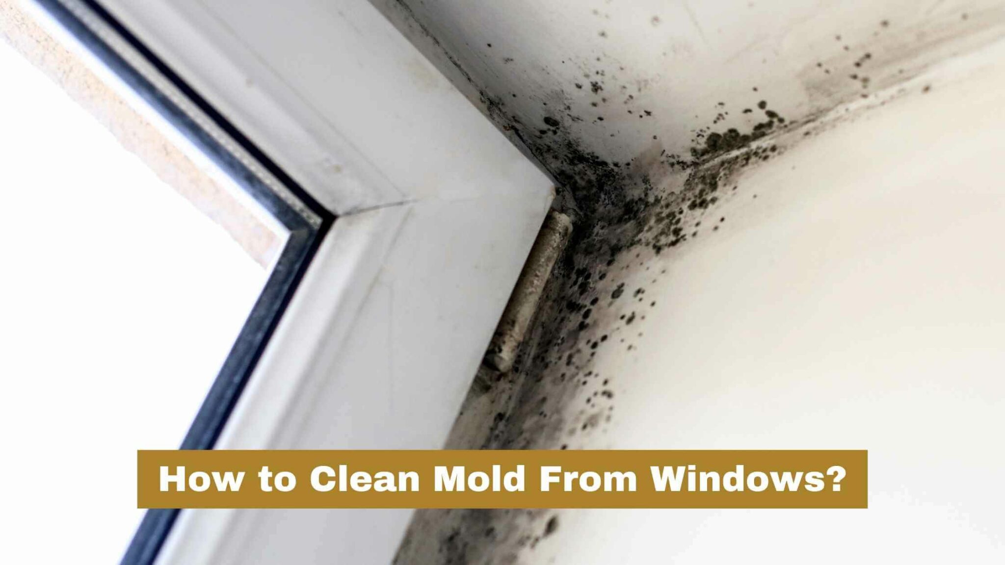 How To Clean Mold From Windows Sill? Causes)