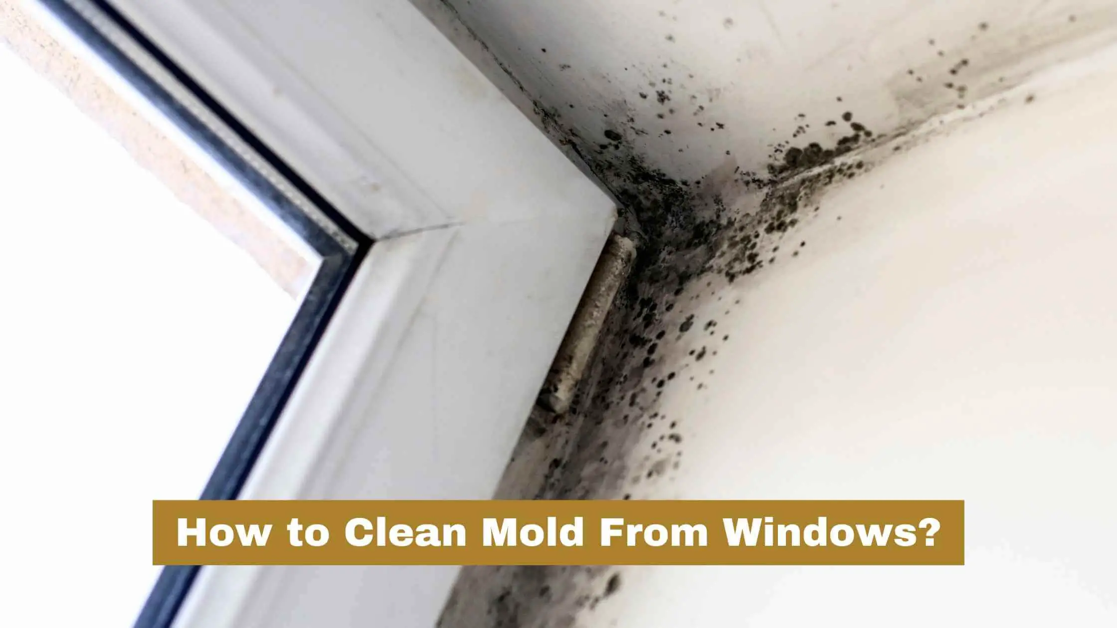 How to Clean Mold From Windows