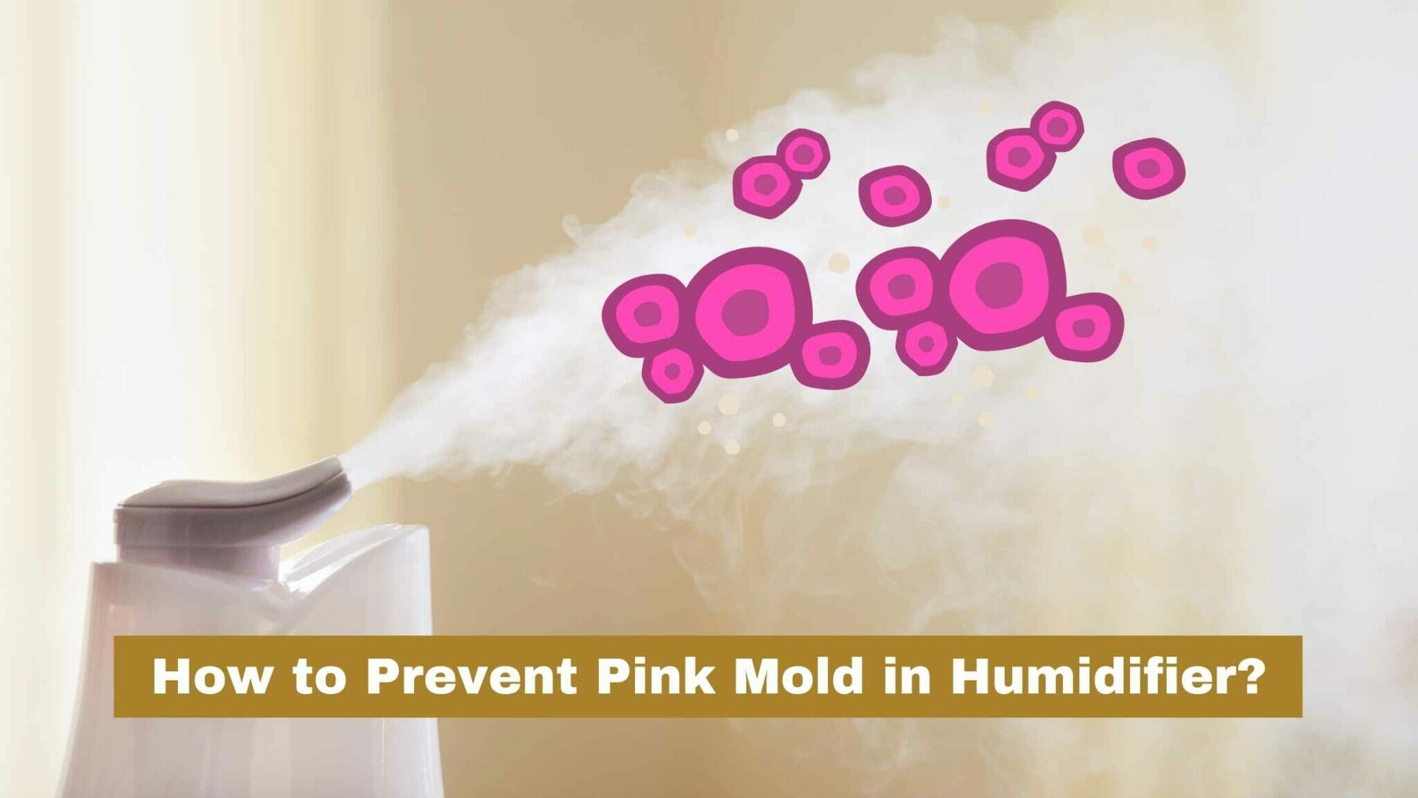 How To Prevent Pink Mold In Humidifier?