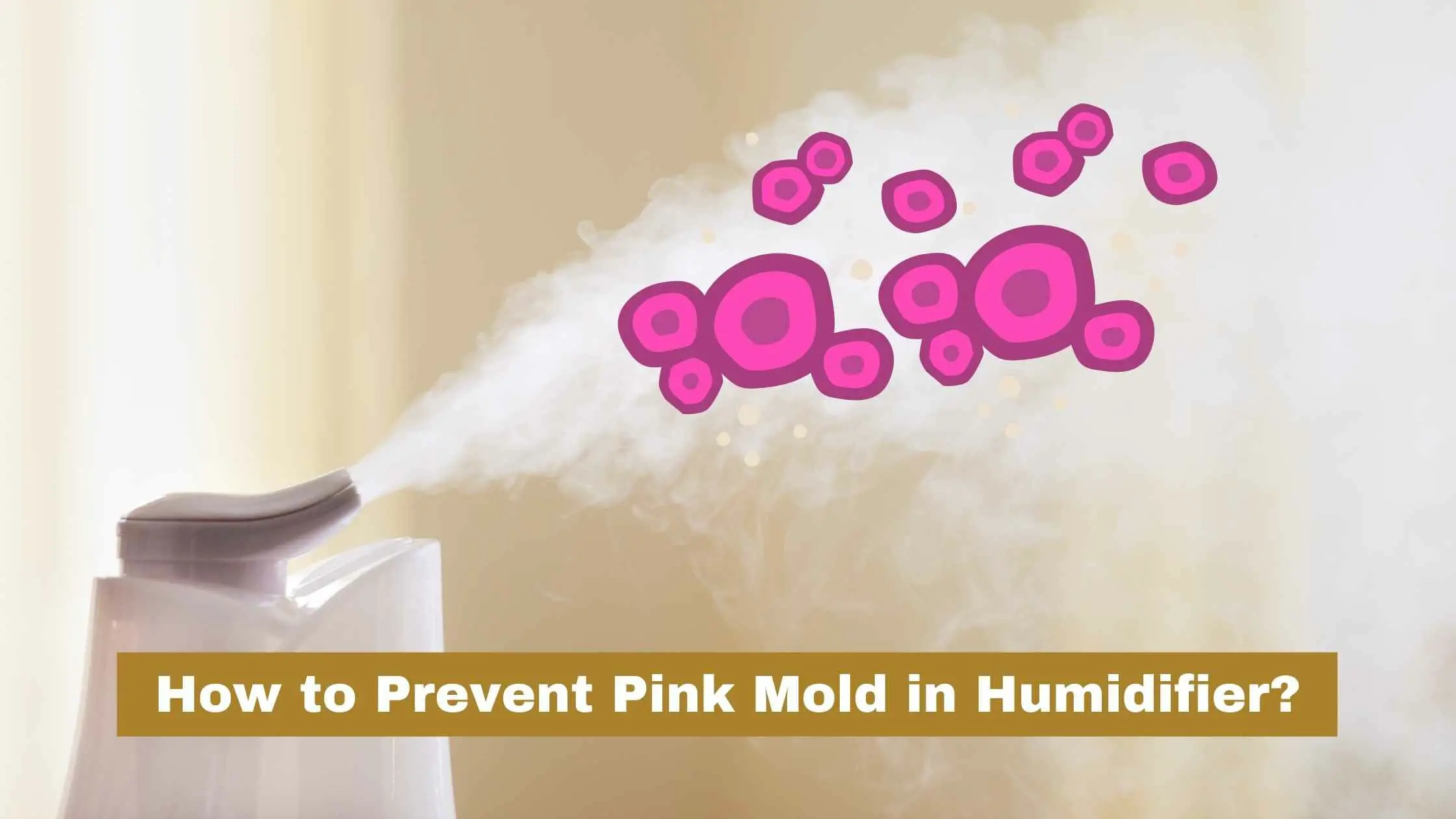 how to prevent pink mold in humidifier