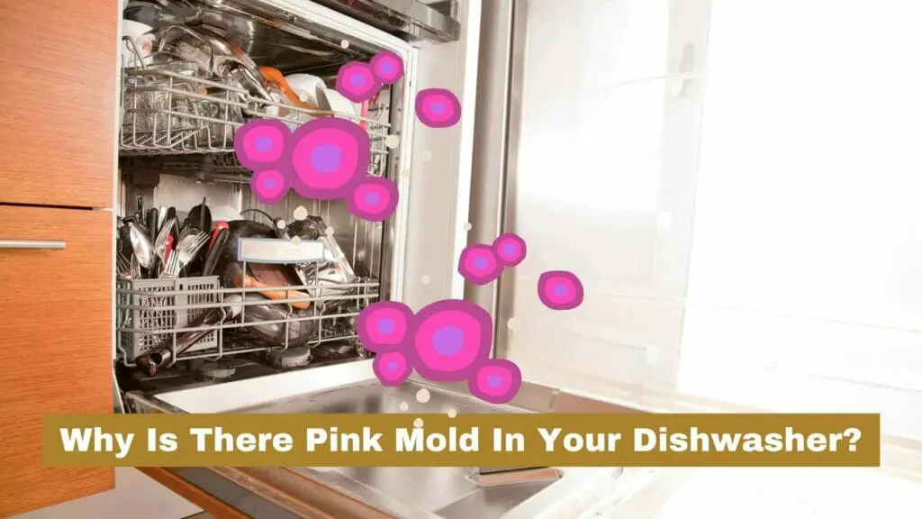 pink mold in dishwasher