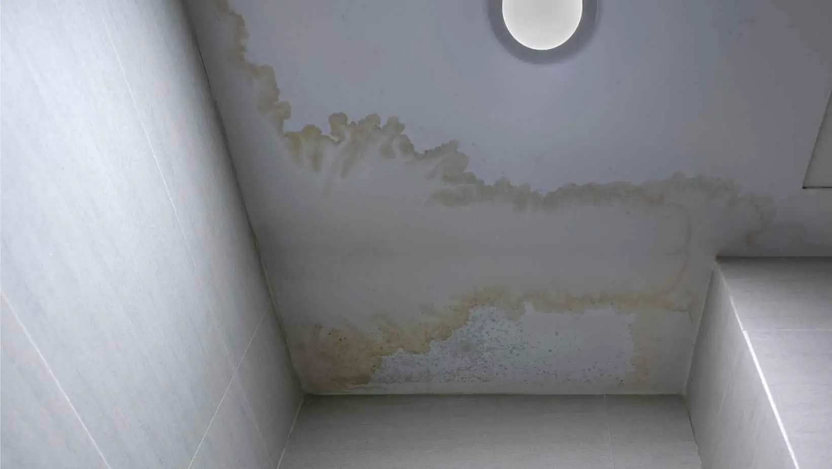 Condensation on the Ceiling