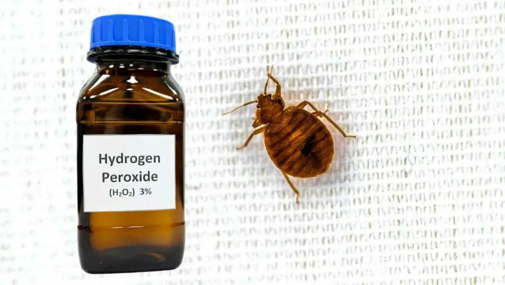 Photo of a bed bug and a bottle of hydrogen peroxide by its side. Does Hydrogen Peroxide Kill Bed Bugs?
