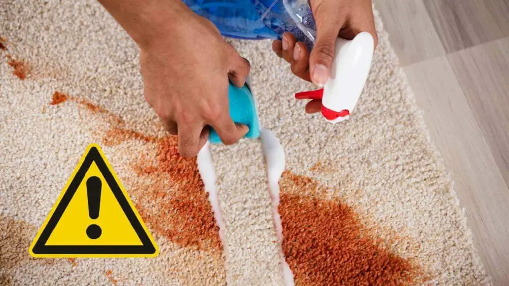 Photo of a person cleaning a messy white carpet with carpet cleaning chemicals. Are Carpet Cleaning Chemicals Harmful?