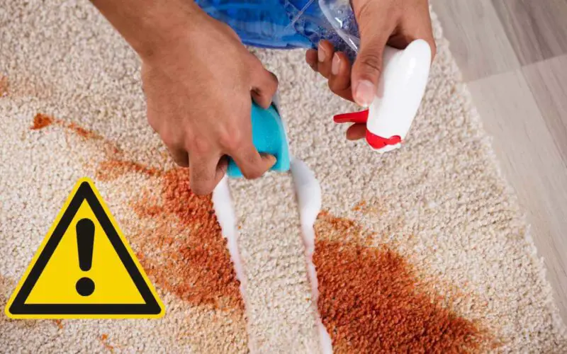 Are Carpet Cleaning Chemicals Harmful? All You Need to Know