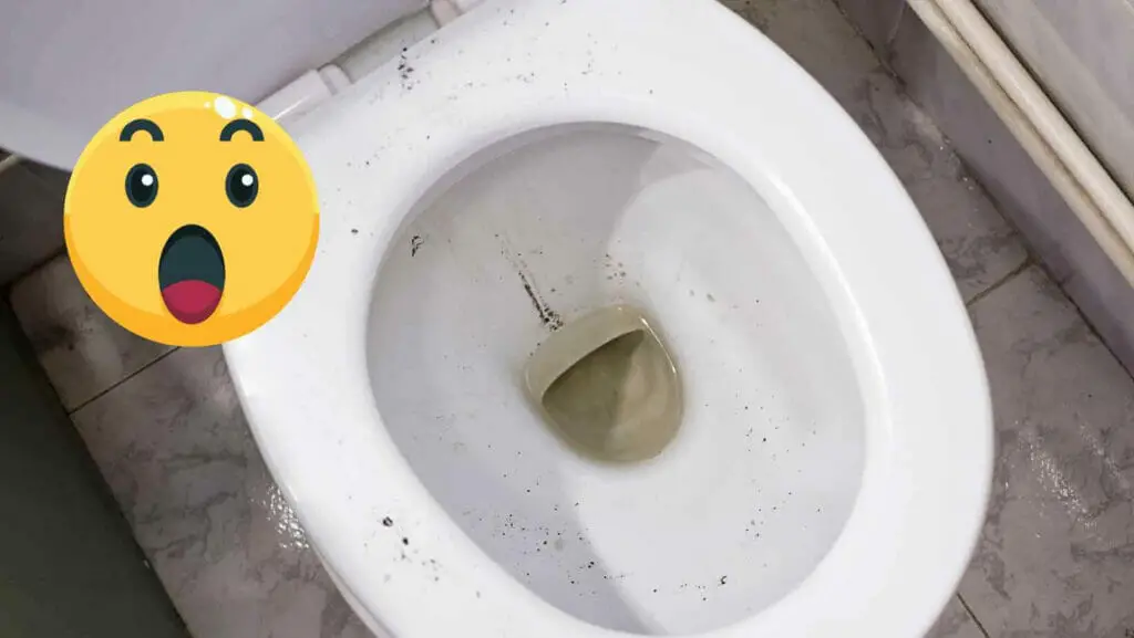 Photo of a toilet with black stuff after flushing. Black Stuff in Toilet After Flushing