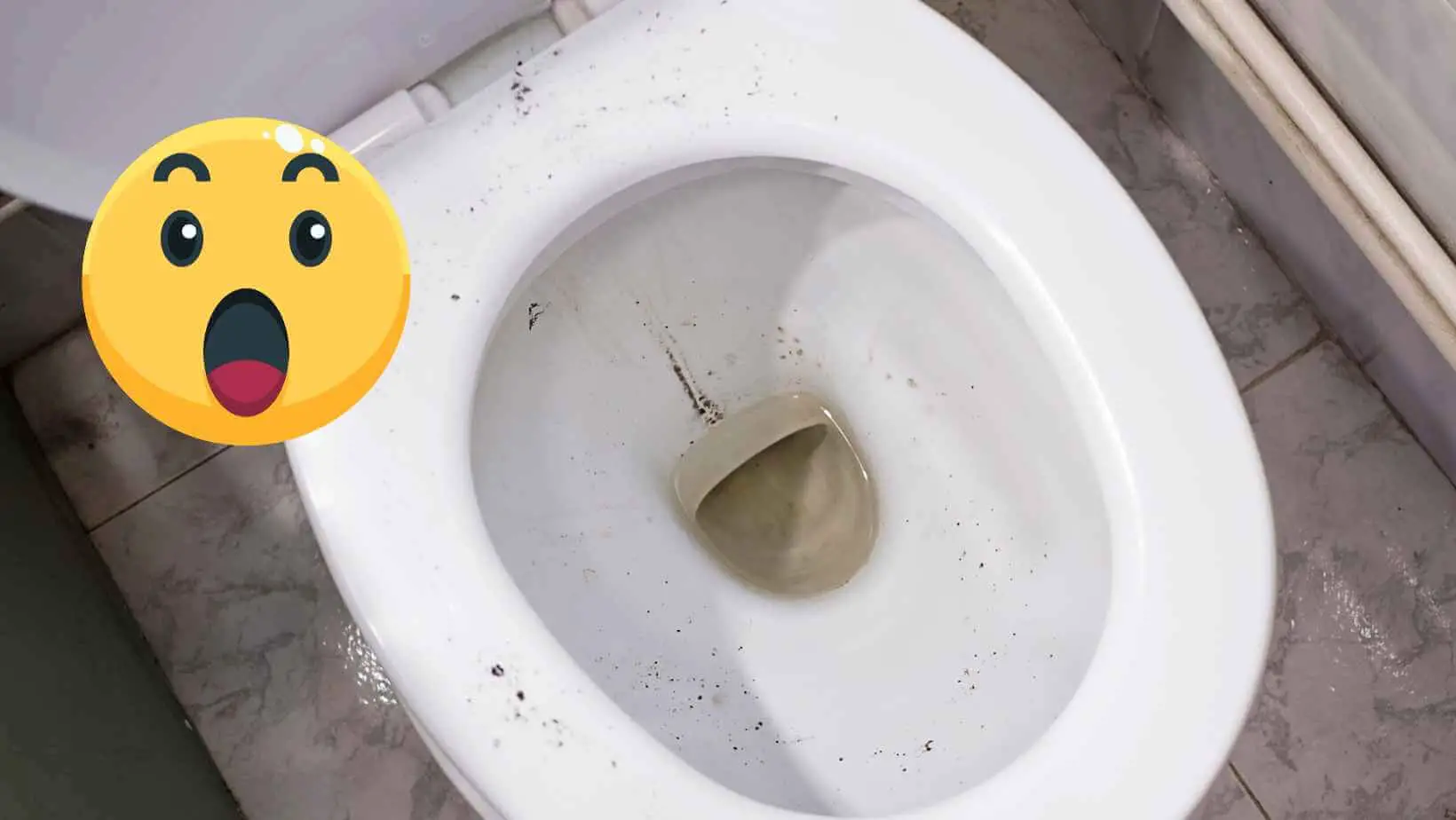 Black Stuff in Toilet After Flushing