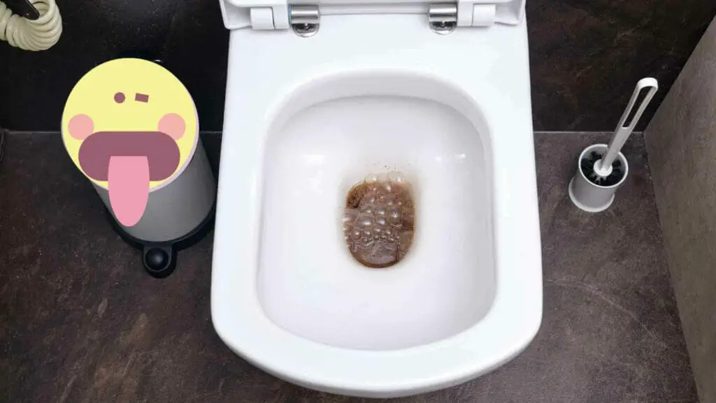 Photo of a toilet with brown water. Brown Water in the Toilet.
