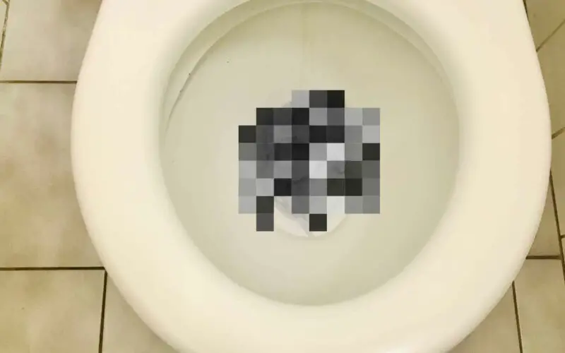 Clogged Toilet with Poop (Causes, Prevention, and Solutions)