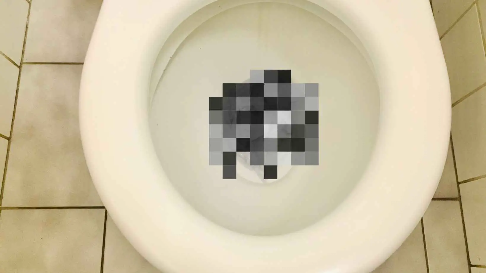 Clogged Toilet with Poop