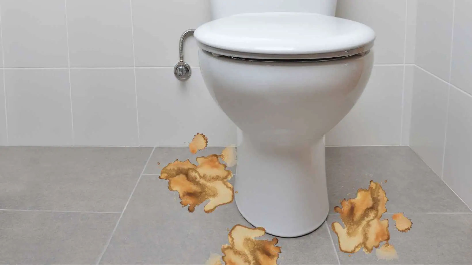 Urine Stain Around Base of Toilet