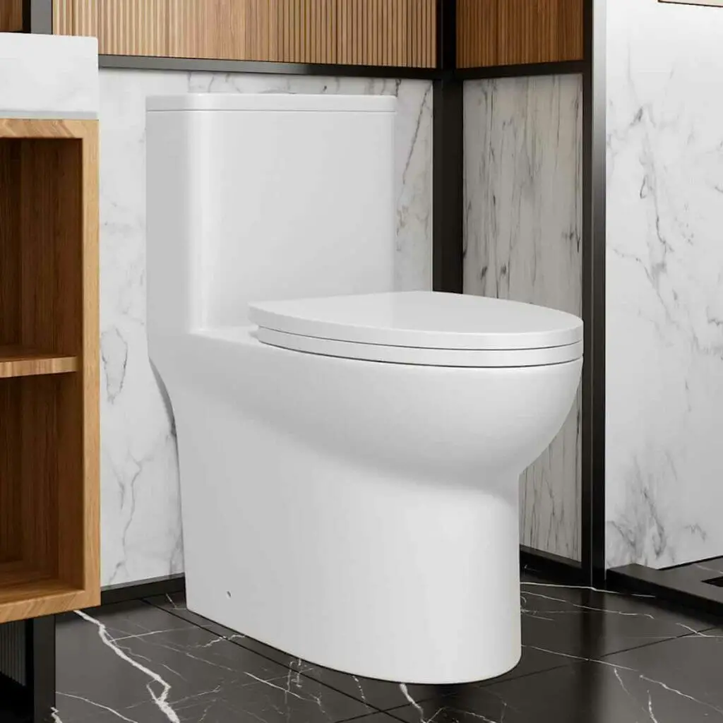 Photo of a GIVINGTREE Dual Flush One Piece Toilet.