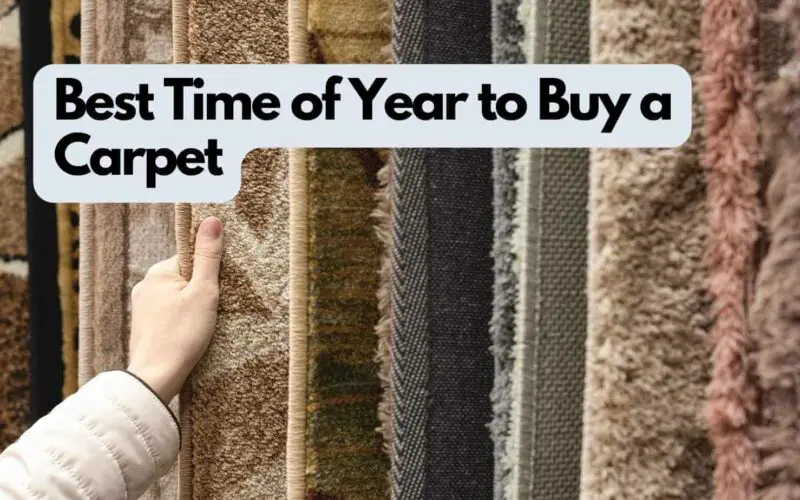 Best Time of Year to Buy a Carpet (Analyzed)