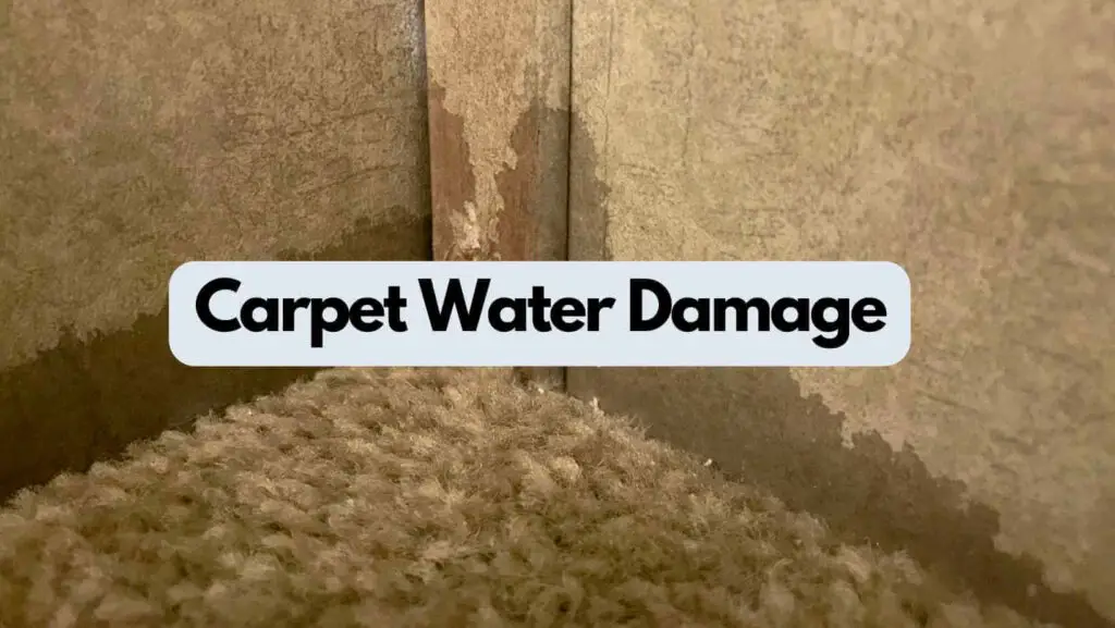 Photo of a carpet being damaged by humidity. Carpet Water Damage.