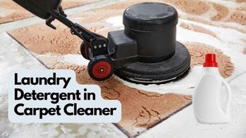 Laundry Detergent In Carpet Cleaner All You Need To Know
