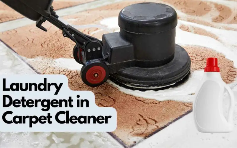 Laundry Detergent in Carpet Cleaner (All You Need to Know)