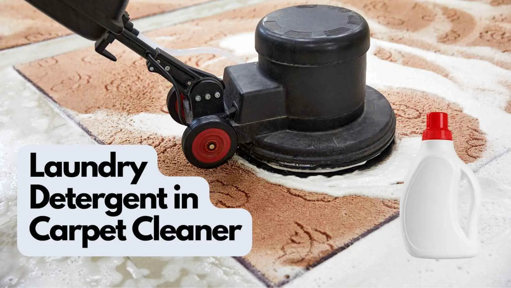 Laundry Detergent in Carpet Cleaner