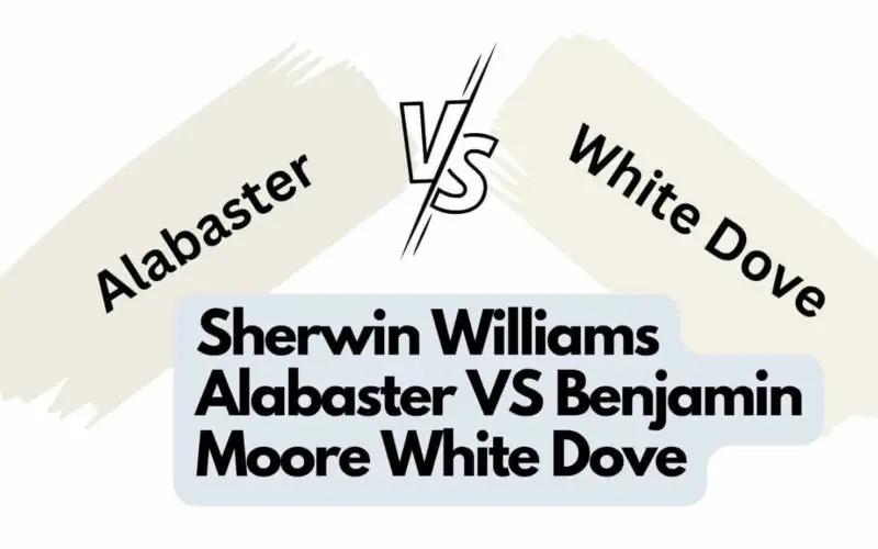 Sherwin Williams Alabaster VS Benjamin Moore White Dove