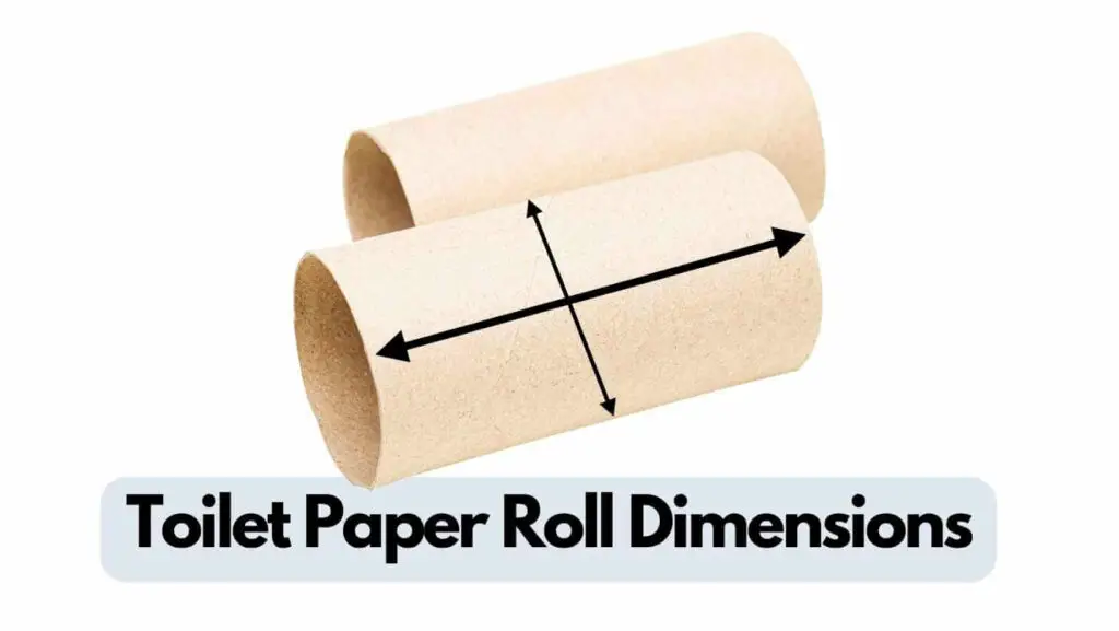 Photo of two toilet paper roll inner tub without toilet paper. Toilet Paper Roll Dimensions.