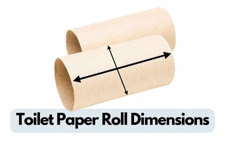 Toilet Paper Roll Dimensions (Answered)
